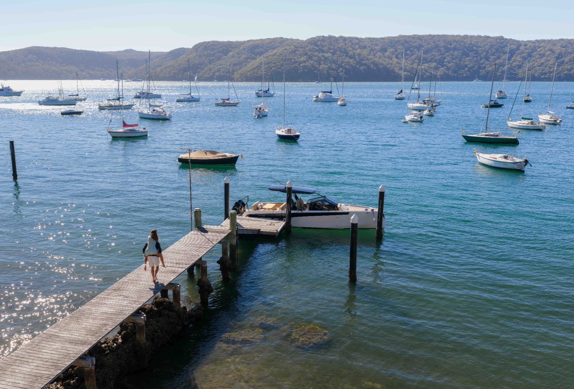 Pittwater 1